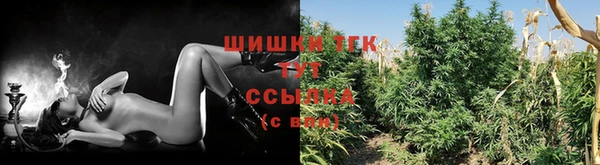 mdpv Арсеньев