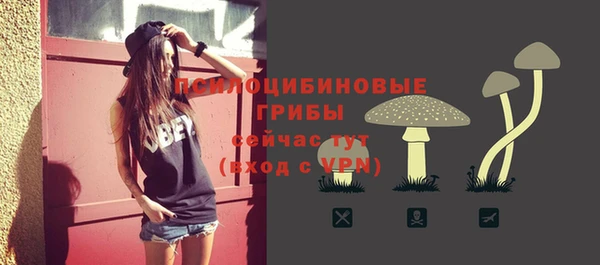 mdpv Арсеньев