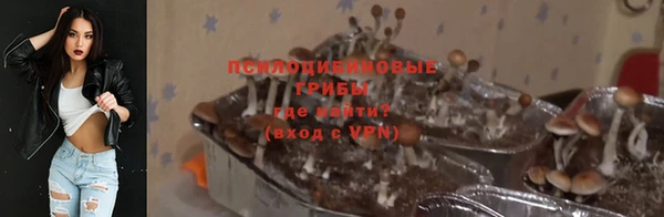 крисы Армянск