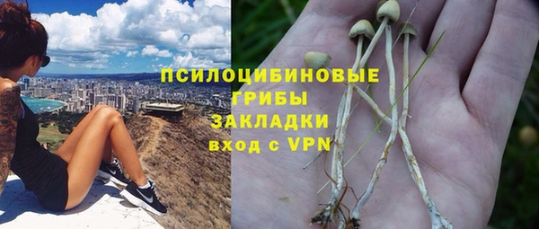 ALPHA-PVP Аркадак
